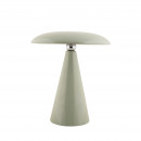 Vert de gris